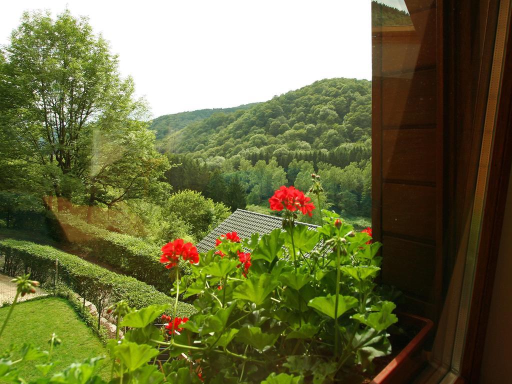 Cottage With A Terrace And A View Of The Valley Aywaille Eksteriør billede
